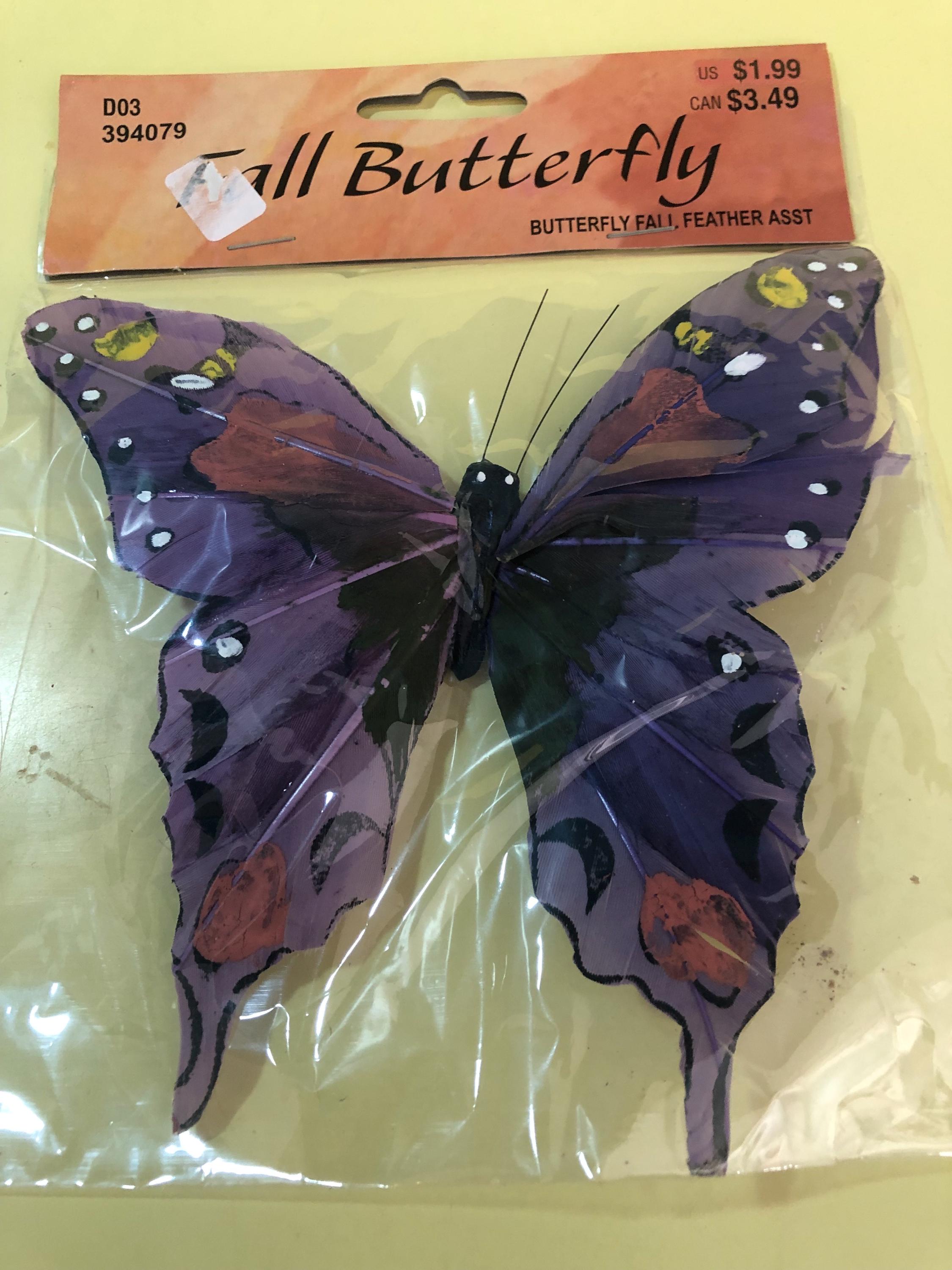 Fall Butterfly’s set of 5