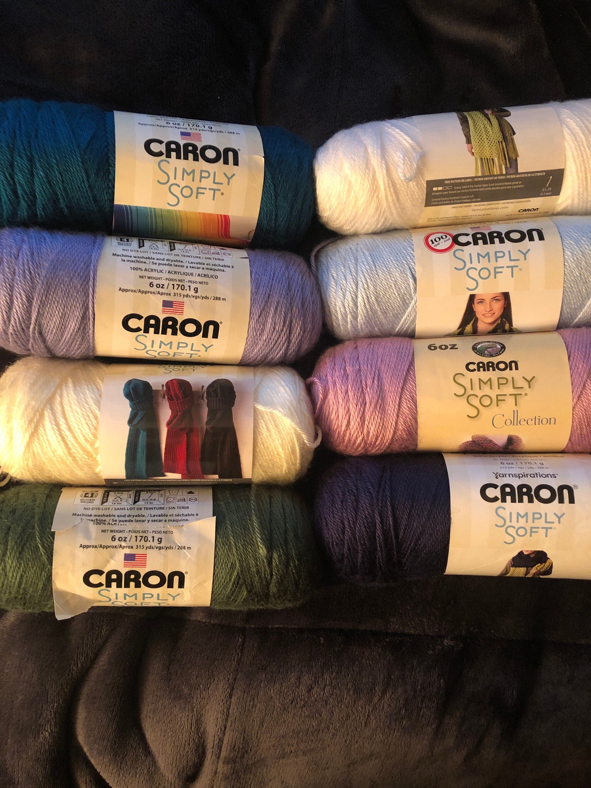 Caron Simply Soft Yarnspirations 6oz PF