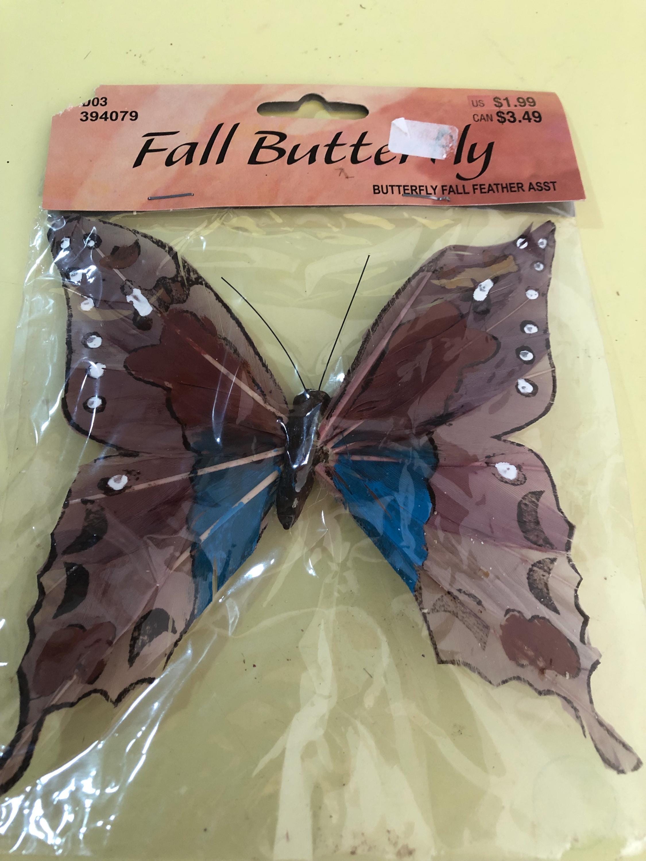 Fall Butterfly’s set of 5