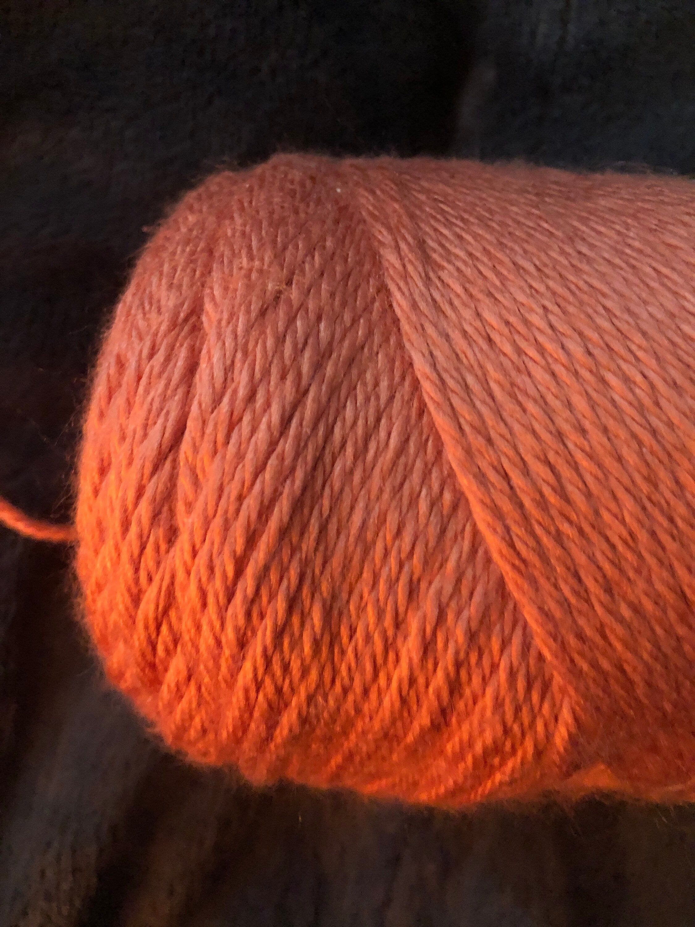 Caron Simply Soft 7oz Skein Yarn PF