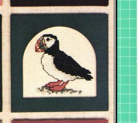 Seashore Designs For Counted Cross Stitch Leaflet Vidmar Graphics